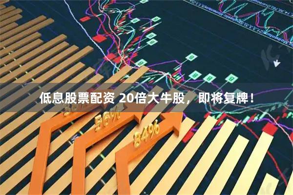 低息股票配资 20倍大牛股，即将复牌！