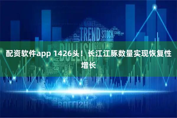 配资软件app 1426头！长江江豚数量实现恢复性增长