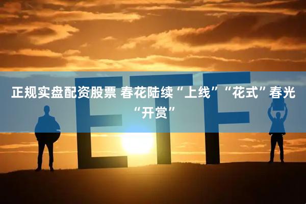 正规实盘配资股票 春花陆续“上线”“花式”春光“开赏”
