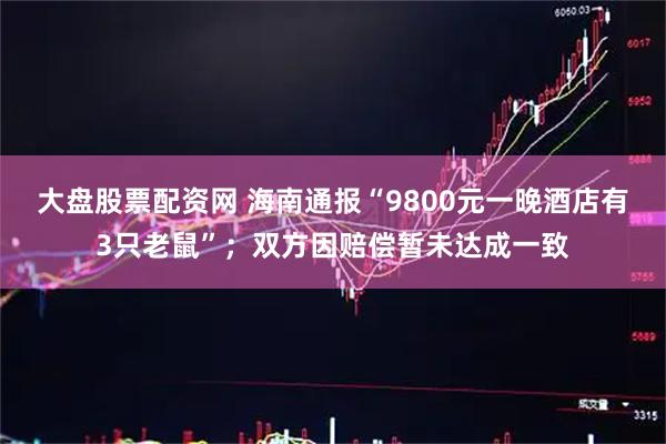 大盘股票配资网 海南通报“9800元一晚酒店有3只老鼠”；双方因赔偿暂未达成一致