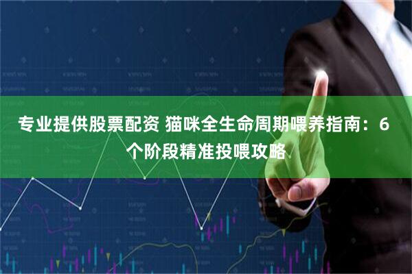 专业提供股票配资 猫咪全生命周期喂养指南：6 个阶段精准投喂攻略