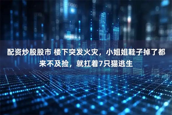 配资炒股股市 楼下突发火灾，小姐姐鞋子掉了都来不及捡，就扛着7只猫逃生